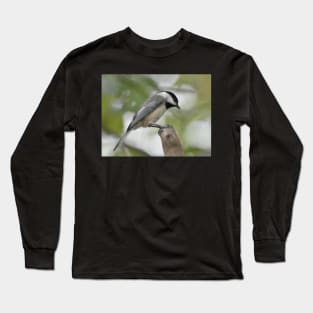 Carolina Chickadee 02 Long Sleeve T-Shirt